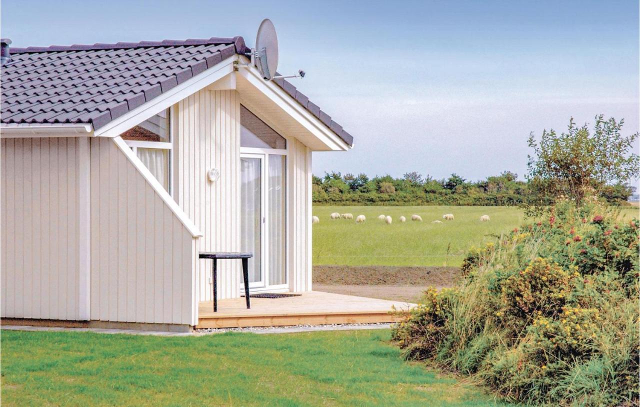 Friedrichskoog-Deichblick 22 Villa Buitenkant foto